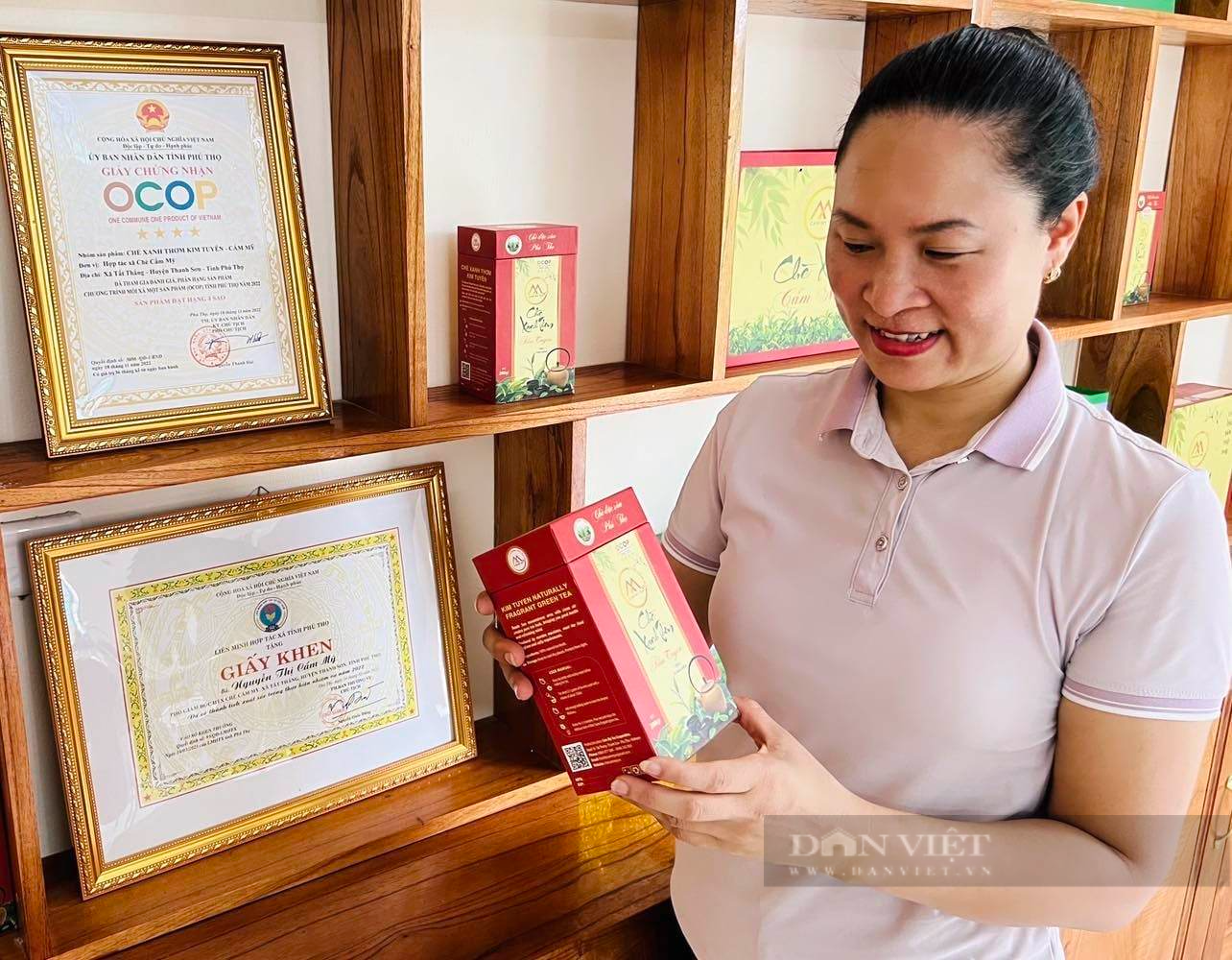 Chè Cẩm Mỹ: Nâng cao giá trị chè truyền thống, khẳng định vị thế OCOP Phú Thọ